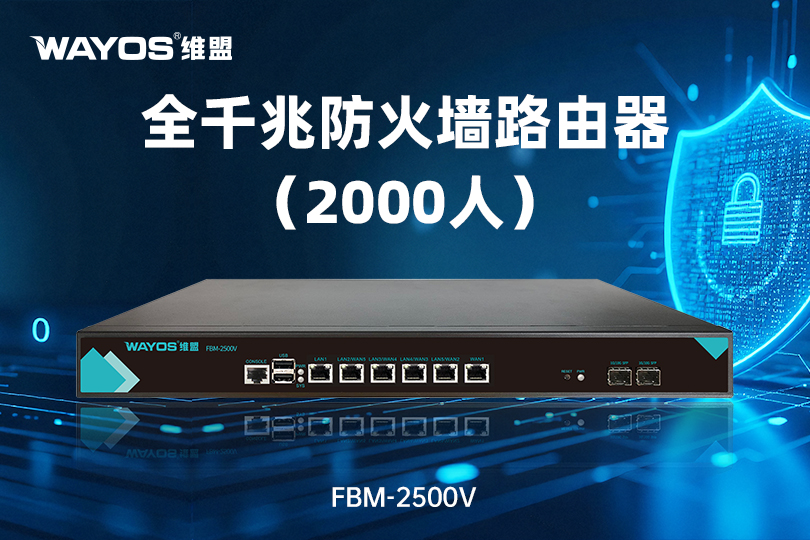 FBM-2500V万兆防火墙路由器