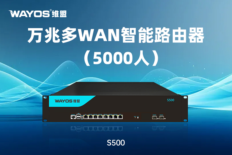 S500万兆多WAN智能路由器