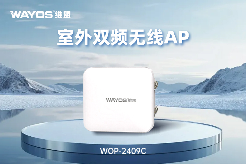 WOP2409C室外双频无线AP