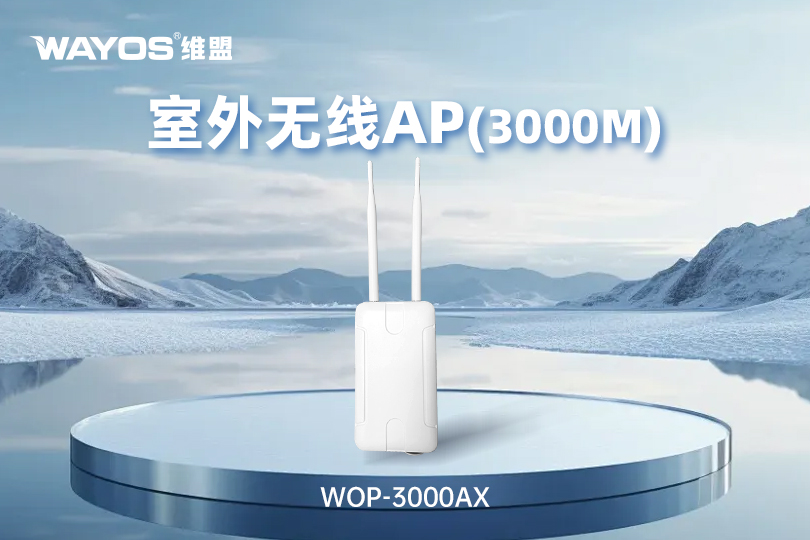 WOP-3000AX室外无线AP（3000M）
