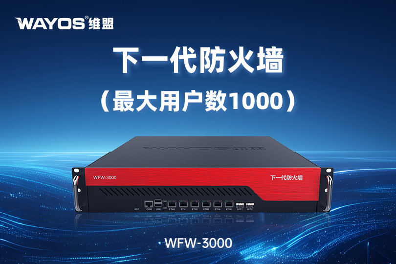 WFW-3000下一代防火墙
