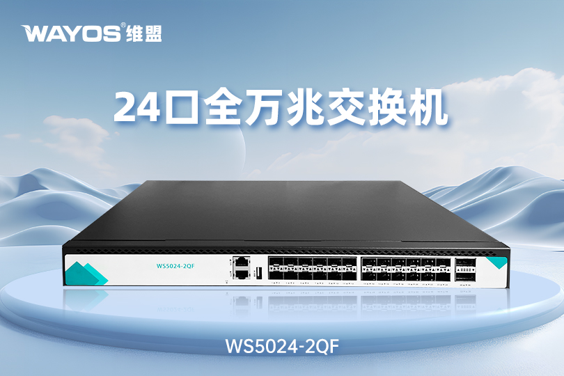 WS5024-2QF  24口全万兆交换机