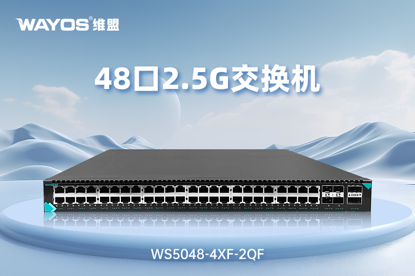 WS5048-4XF-2QF 2.5G万兆管理型交换机