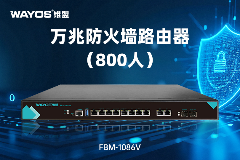 FBM-1086V万兆防火墙路由器