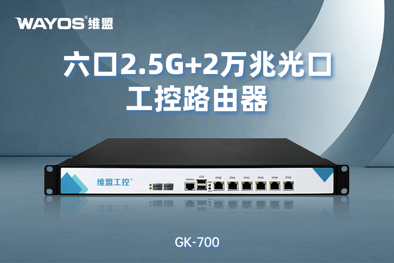 GK700六口2.5G+2万兆光口